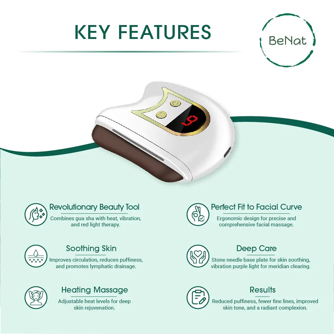 Electric Gua Sha Facial Sculpting Thenewnow.shop